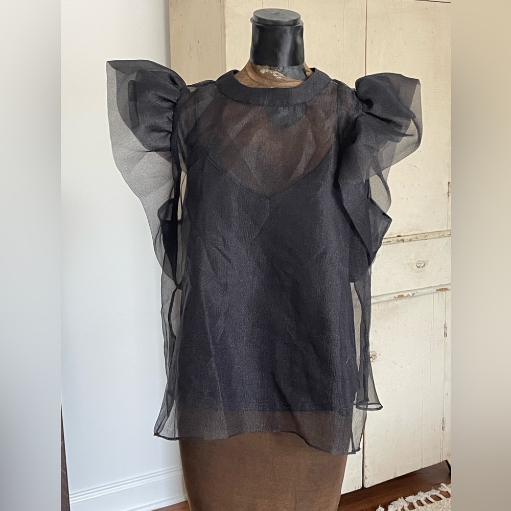 Blu Pepper Sheer Black Flutter Sleeve Top and Camisole NWT